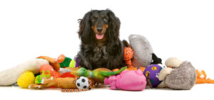 what dog toys are good for dogs