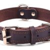 Dog Collars