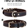 Dog Collars - Image 5
