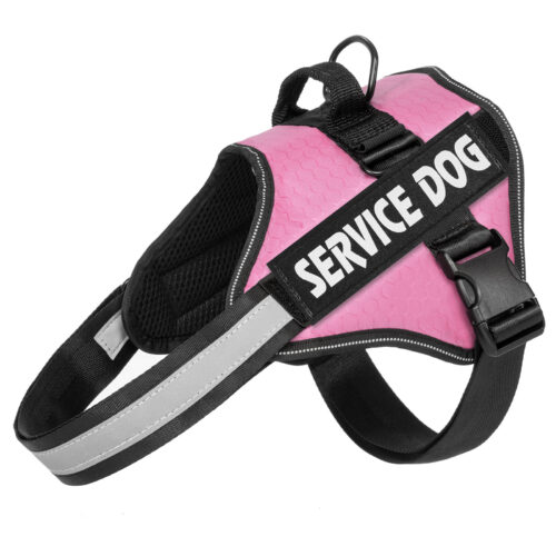 Backpack-style Dog Leash