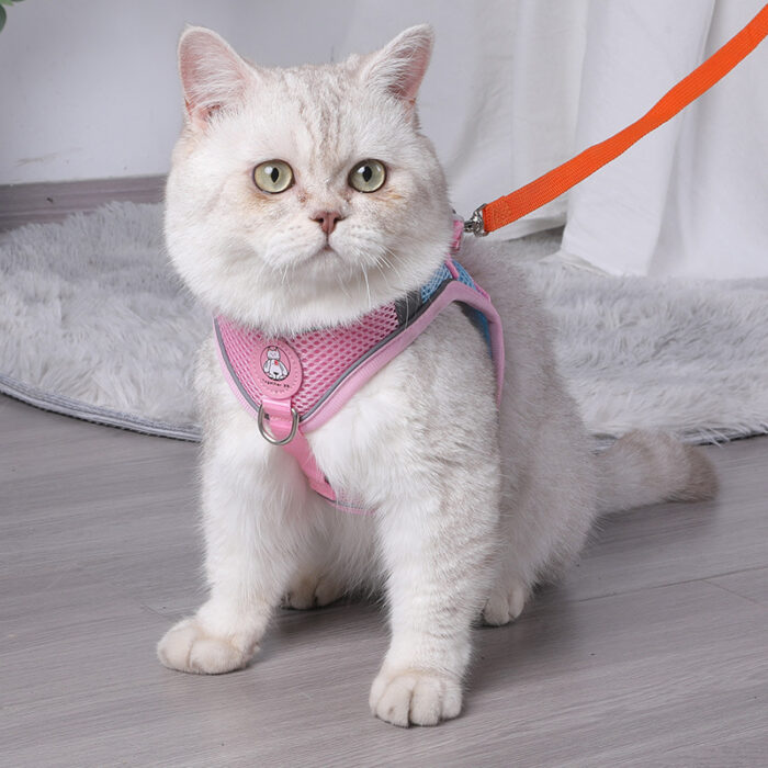 Reflective and BreathableCat Leash - Image 3