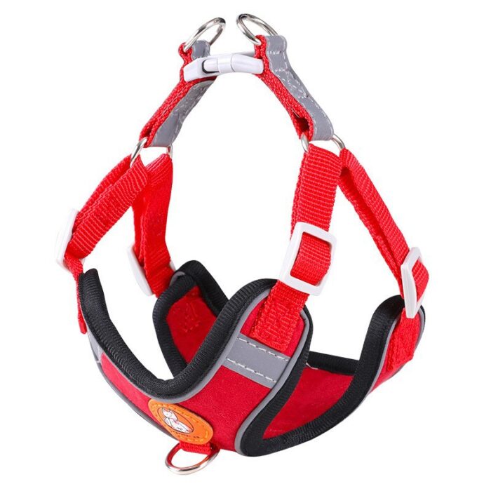 Vest-style Dog Leash - Image 2