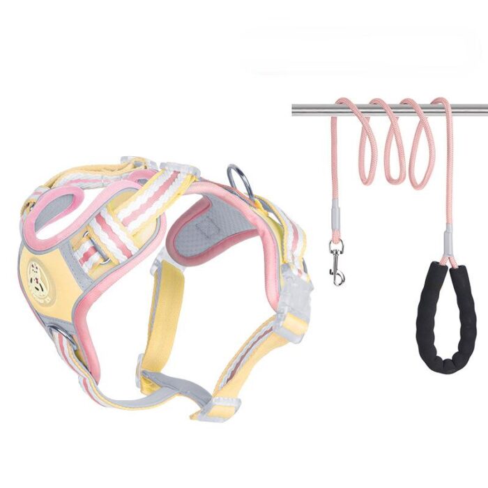 Dog Chest and Back Dopamine Leash - Image 2