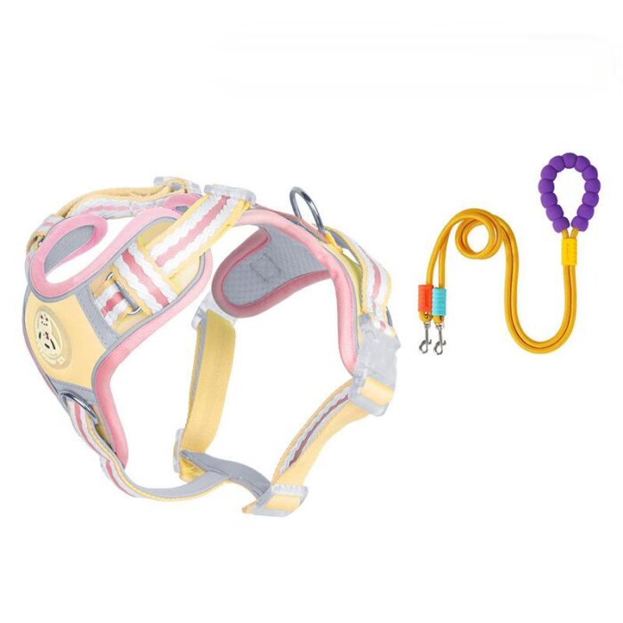 Dog Chest and Back Dopamine Leash - Image 4