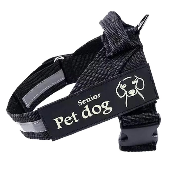 Adjustable Dog Chest and Back Leash - Image 2