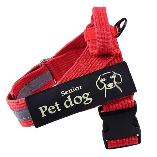 Adjustable Dog Chest and Back Leash