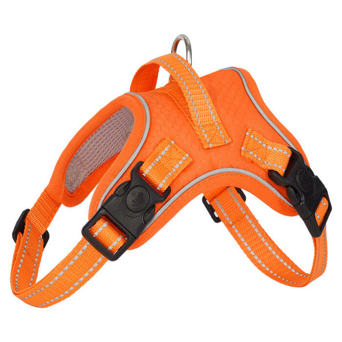 Back and Chest Dog Leash Vest - Image 3