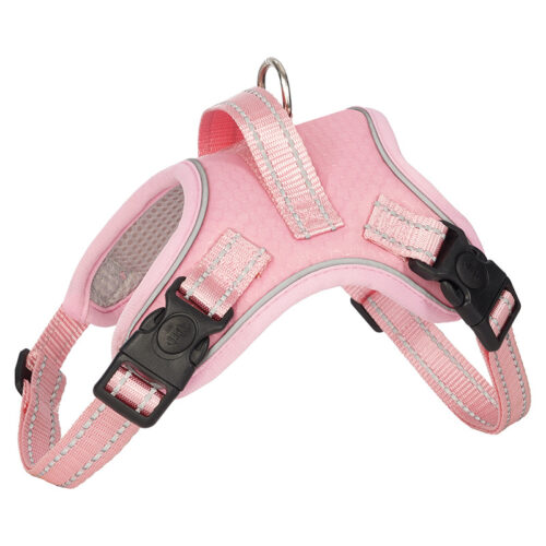 Back and Chest Dog Leash Vest
