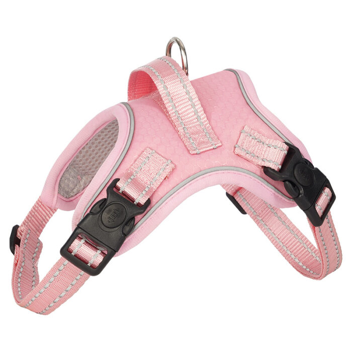 Back and Chest Dog Leash Vest