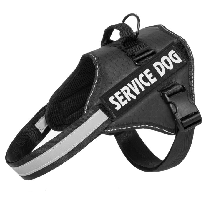 Back and Chest Dog Leash - Image 2