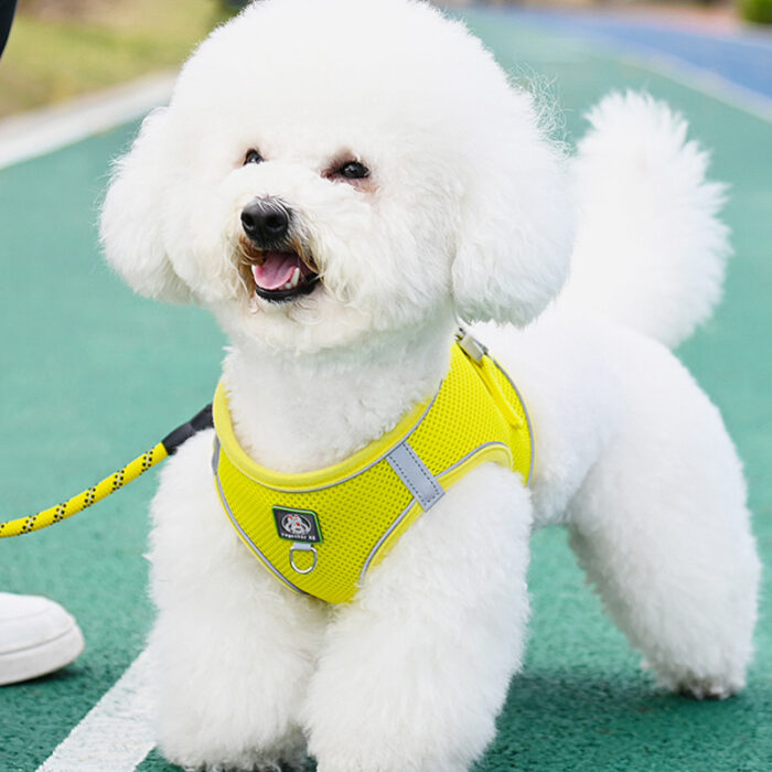 Vest-style Dog Leash - Image 2